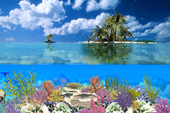 coral-island-phuket