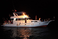 night-fishing-tour-phuket