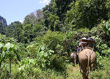 safari-tour-phuket