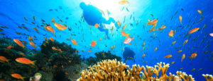 scuba-diving-in-phuket