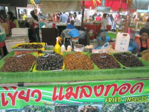 Fried-Insects-Khao-Lak-land-Discovery